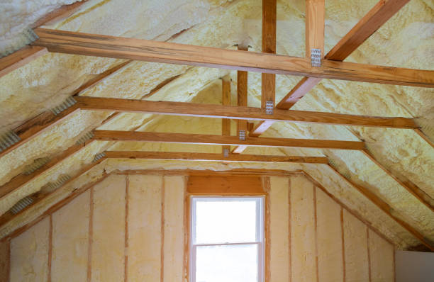 Best Insulation Contractor Near Me  in Murfreesboro, NC