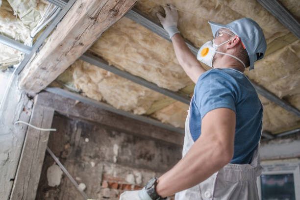 Best Fiberglass Insulation  in Murfreesboro, NC