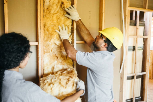 Best Insulation Contractors for Homes  in Murfreesboro, NC