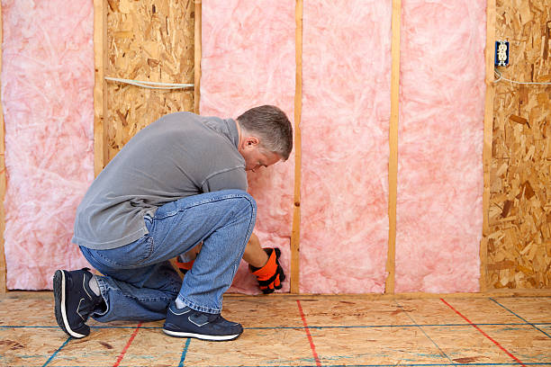 Best Soundproof Insulation Installation  in Murfreesboro, NC