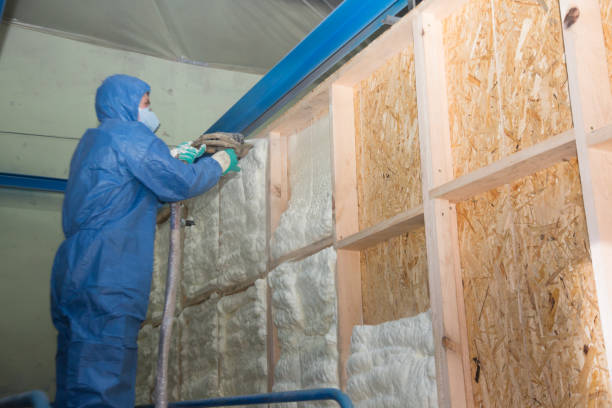 Best Insulation Removal  in Murfreesboro, NC