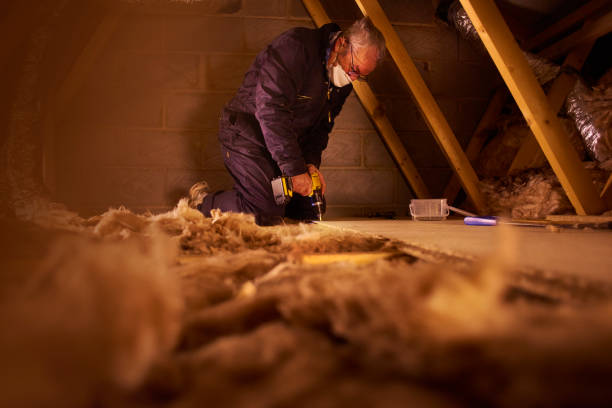 Best Local Insulation Services  in Murfreesboro, NC